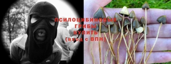 спайс Алексеевка