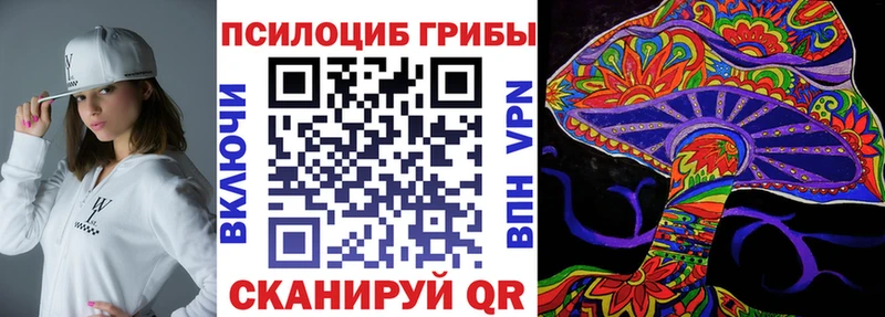 купить  сайты  Николаевск  Псилоцибиновые грибы GOLDEN TEACHER 